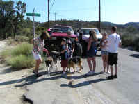 fd07 (4).jpg (167299 bytes)