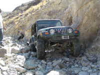 FID XVI (23).jpg (170815 bytes)