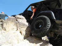 FID XVI (26).jpg (108984 bytes)