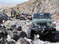 FID XVI (2).jpg (222208 bytes)