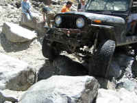 FID XVI (6).jpg (176309 bytes)