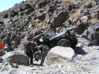 FID XVI (7).jpg (234318 bytes)