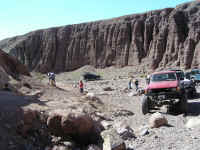 calico 08 (0).JPG (198418 bytes)