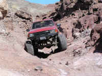 calico 08 (15).JPG (203513 bytes)