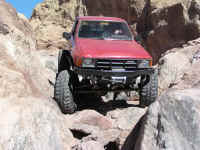 calico 08 (18).JPG (178143 bytes)