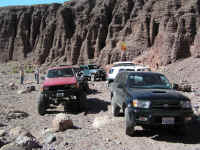 calico 08 (1).JPG (225290 bytes)