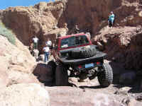 calico 08 (7).JPG (181114 bytes)