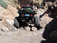 calico 08 (8).JPG (175313 bytes)