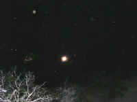 Moonlight08 (22).JPG (33327 bytes)