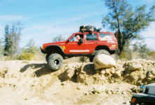 Debbie (12).jpg (79142 bytes)