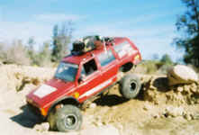 Debbie (13).jpg (71376 bytes)