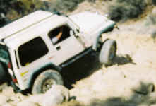 Debbie (15).jpg (61077 bytes)