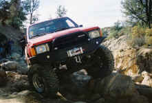 Debbie (16).jpg (128101 bytes)