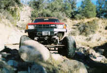 Debbie (17).jpg (113663 bytes)