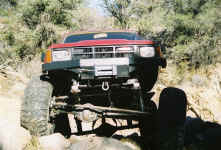 Debbie (18).jpg (152110 bytes)