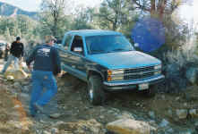 Debbie (1).jpg (153967 bytes)