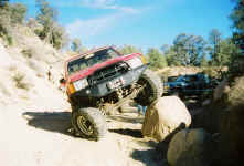 Debbie (20).jpg (105639 bytes)