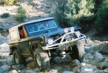 Debbie (22).jpg (150262 bytes)