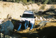 Debbie (24).jpg (146299 bytes)