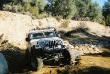 Debbie (25).jpg (182953 bytes)