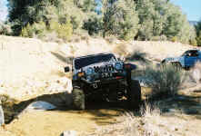 Debbie (27).jpg (182771 bytes)