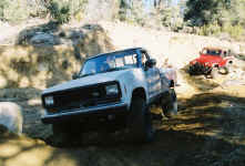 Debbie (29).jpg (145442 bytes)