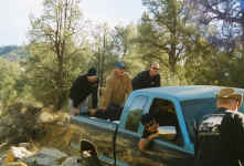 Debbie (2).jpg (150397 bytes)