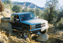 Debbie (32).jpg (165704 bytes)