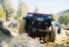 Debbie (3).jpg (115649 bytes)