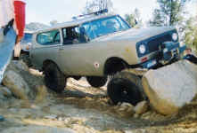 Debbie (5).jpg (102866 bytes)