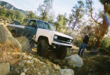 Debbie (6).jpg (116218 bytes)