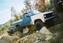 Debbie (7).jpg (107266 bytes)