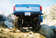 Debbie (8).jpg (95040 bytes)