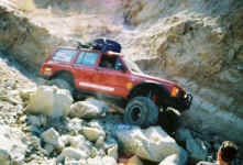 Debbie (9).jpg (96315 bytes)