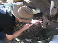 TDS 08 (69).JPG (120351 bytes)