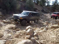 tour de sober 113.JPG (127364 bytes)