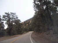 tour de sober 175.JPG (65233 bytes)