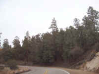 tour de sober 176.JPG (55419 bytes)