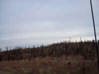 tour de sober 179.JPG (41906 bytes)