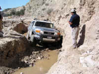 TrailTeam (10).JPG (196867 bytes)