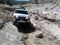 TrailTeam (16).JPG (228905 bytes)