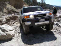 TrailTeam (18).JPG (170629 bytes)