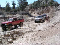 TrailTeam (22).JPG (225106 bytes)