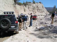 TrailTeam (23).JPG (182984 bytes)