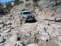 TrailTeam (24).JPG (209002 bytes)