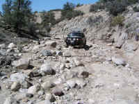 TrailTeam (25).JPG (210016 bytes)