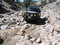 TrailTeam (28).JPG (214961 bytes)