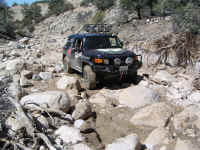 TrailTeam (29).JPG (220668 bytes)