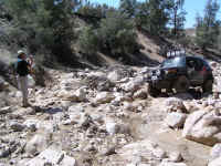 TrailTeam (31).JPG (226113 bytes)