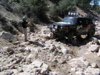 TrailTeam (32).JPG (217600 bytes)